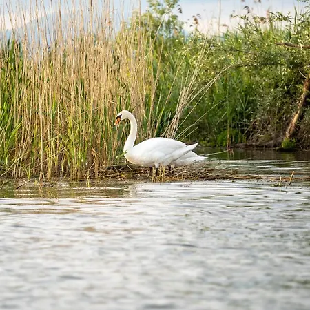 Il Gesuita マントヴァ