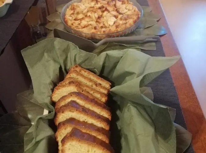 Il Gesuita *